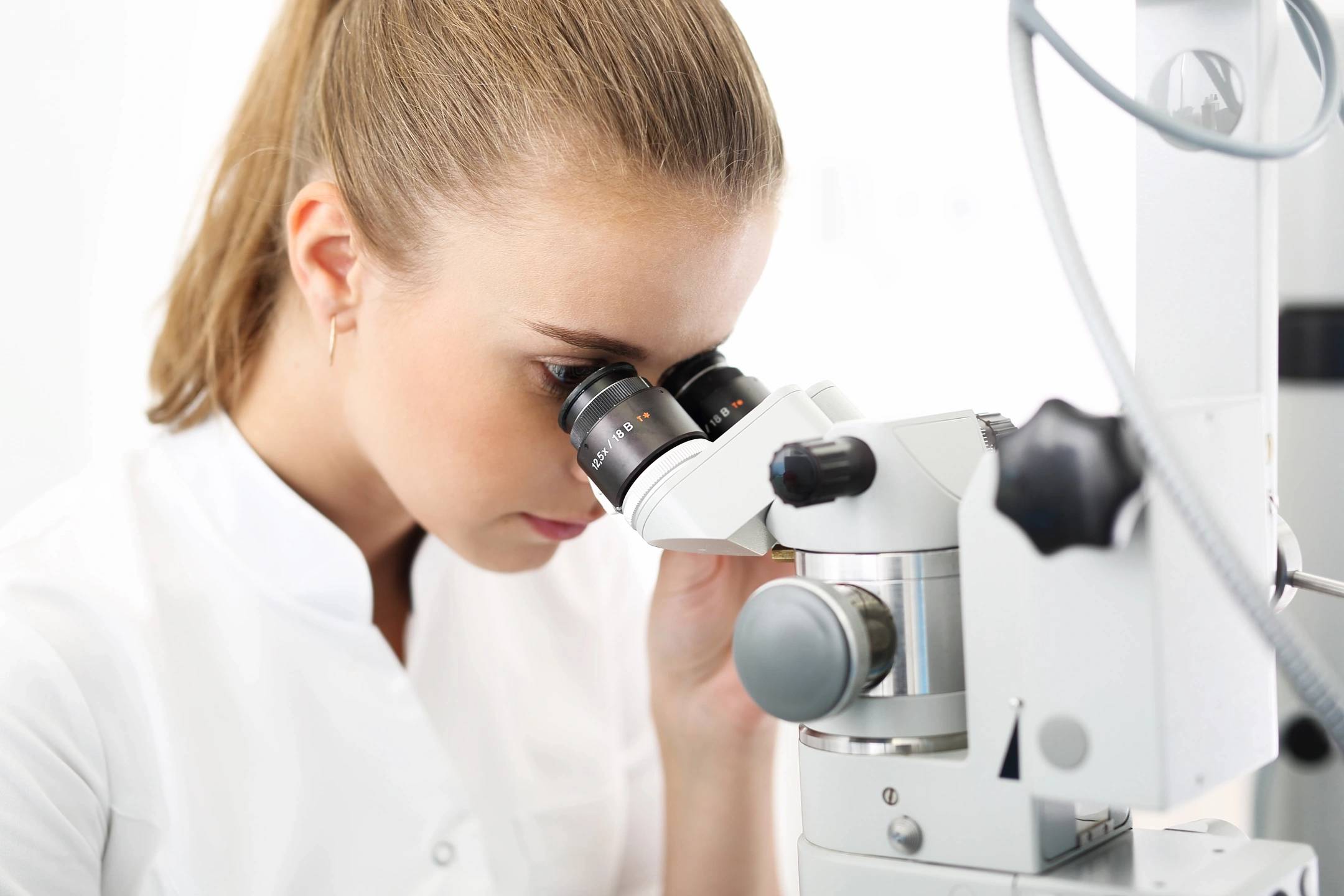 Researchers working in the lab